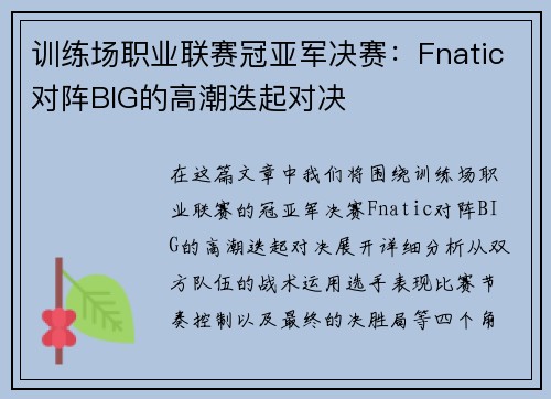 训练场职业联赛冠亚军决赛：Fnatic对阵BIG的高潮迭起对决